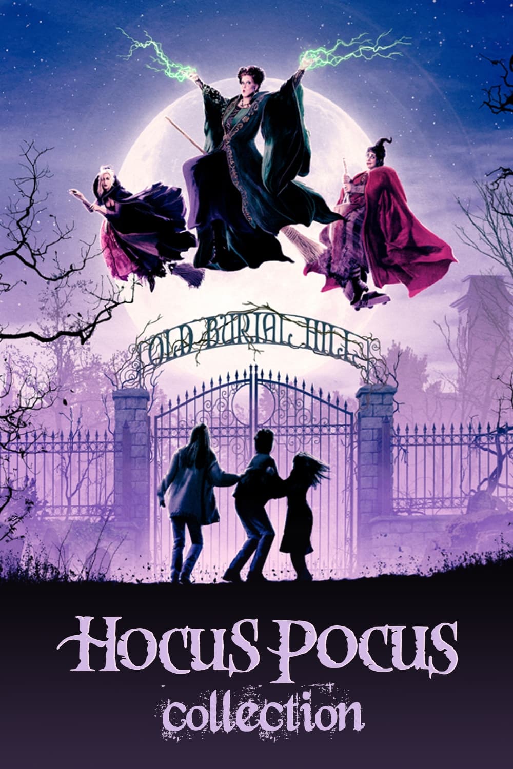 Hocus Pocus Collection [266238] (A1664523565) (Movies) --Plex--